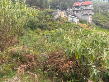 Residential plot for sale in Coonoor