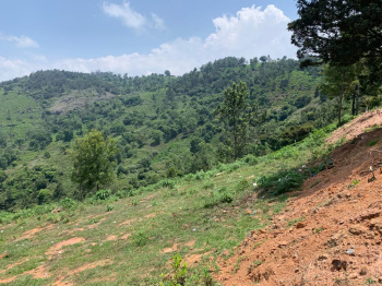 Residential plot for sale in Kotagiri