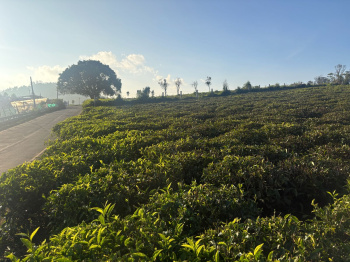 Residential plot for sale in Kotagiri