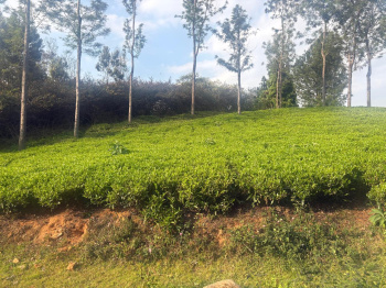 Residential plot for sale in Kotagiri