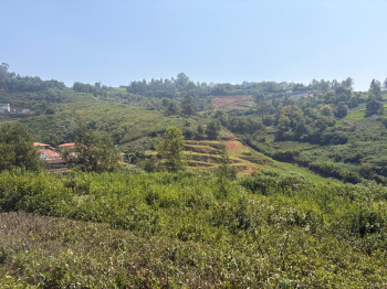 Residential Land for Sale – Ketti