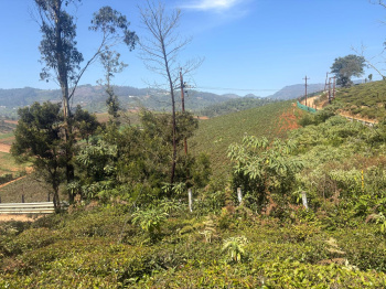Residential plot for sale in Kotagiri
