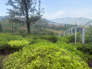 Residential plot for sale in Coonoor
