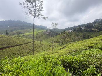 Residential plot for sale in Coonoor