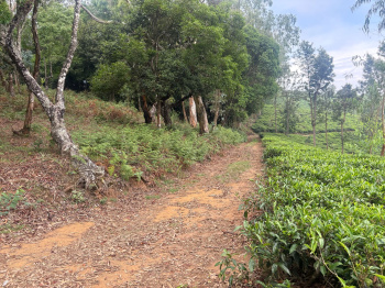 Residential plot for sale in Coonoor