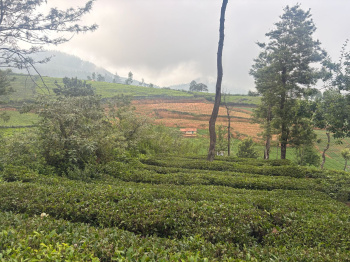 Residential plot for sale in Ooty