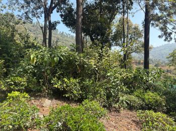 Residential plot for sale in Kotagiri