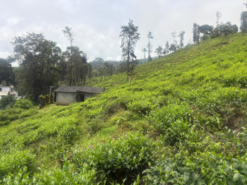 RESIDENTIAL LAND FOR SALE IN GUDALUR