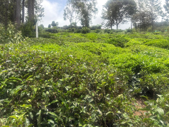 Residential plot for sale in Ketti