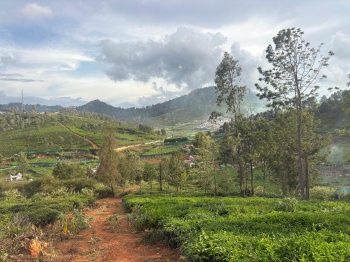 Residential plot for sale in Kotagiri