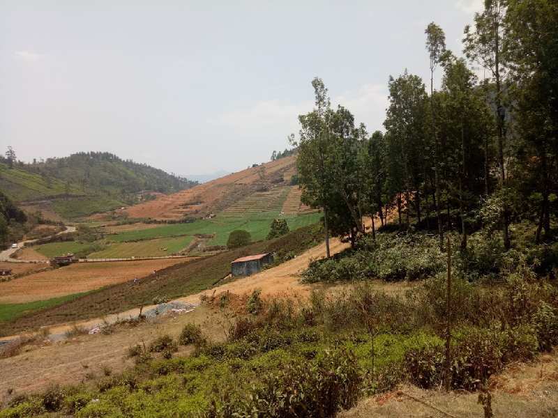 Residential Plot for Sale in Manalada, Ooty (3 Acre)