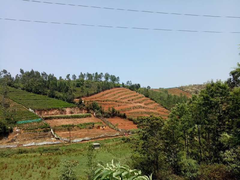 Residential Plot for Sale in Manalada, Ooty (90 Cent)