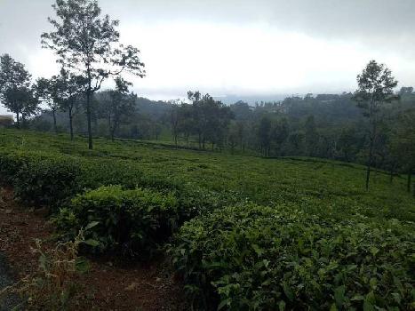 50 Cent Residential Plot for Sale in Coonoor, Nilgiris