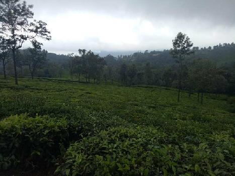 22 Cent Residential Plot for Sale in Coonoor, Nilgiris