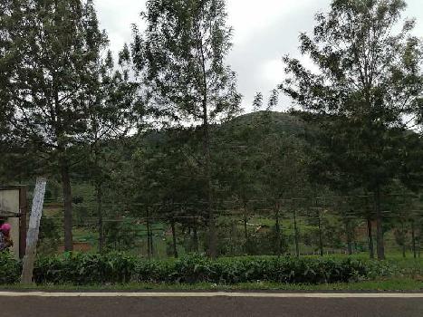 3 Acre Agricultural/Farm Land for Sale in Kotagiri, Nilgiris
