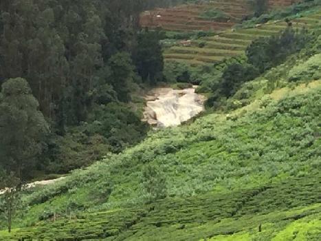 68 Cent Agricultural/Farm Land for Sale in Manalada, Ooty