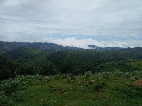 2.75 Acre Residential Plot for Sale in Ketti, Nilgiris
