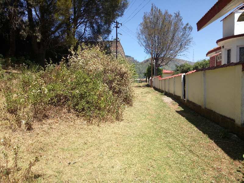 25 Cent Residential Plot for Sale in Lovedale Junction, Ooty