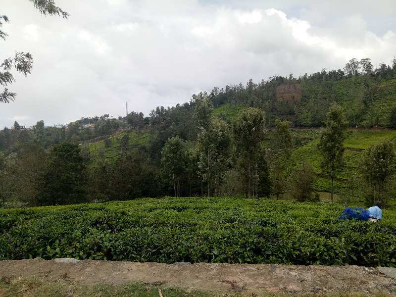 25 Cent Residential Plot for Sale in Coonoor, Ooty (30 Cent)