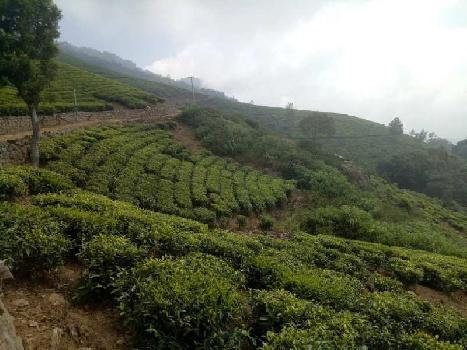 2 Acre Residential Plot for Sale in Coonoor, Nilgiris