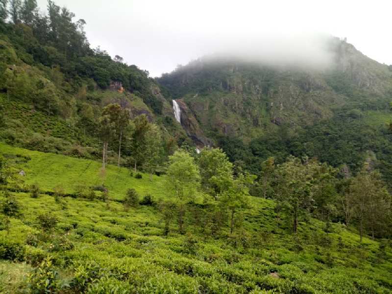 42 Cent Residential Plot for Sale in Huligal, Nilgiris (20 Cent)