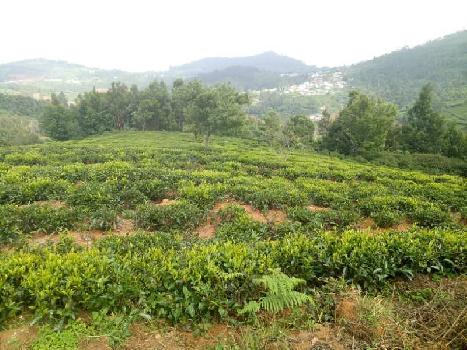84 Cent Residential Plot for Sale in Udhagamandalam, Nilgiris