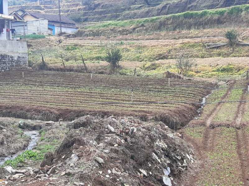 81 Cent Residential Plot for Sale in Coonoor, Ooty