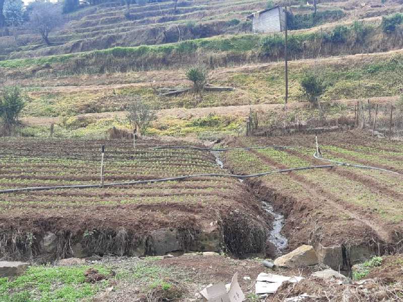 21 Cent Residential Plot for Sale in Coonoor, Ooty