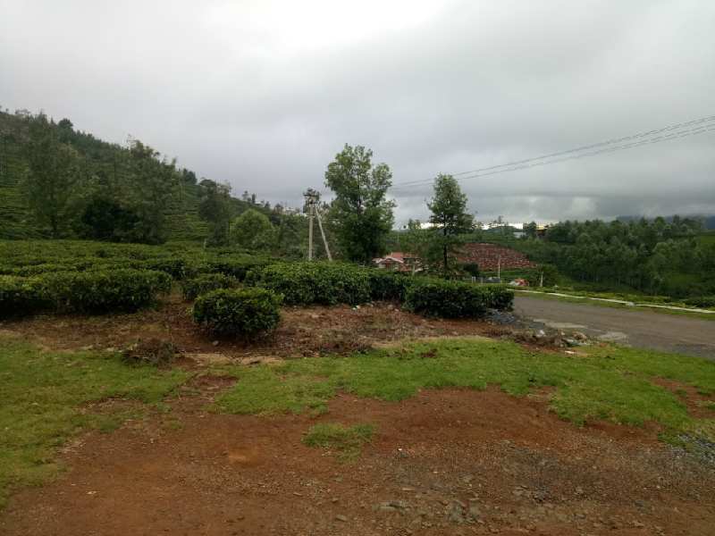 5.34 Acre Residential Plot for Sale in Coonoor, Nilgiris