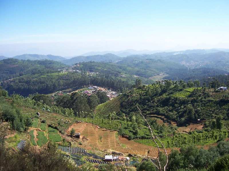 60 Cent Residential Plot for Sale in Coonoor, Ooty