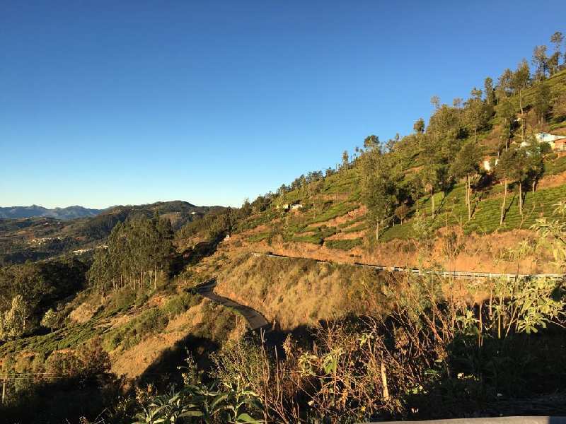 60 Cent Residential Plot for Sale in Coonoor, Ooty