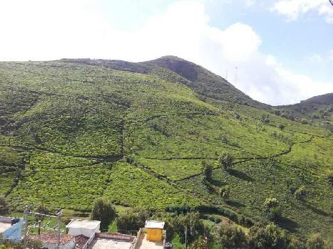 2 BHK Flats & Apartments for Sale in Coonoor, Ooty