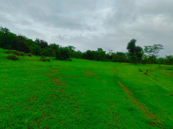 100 Acre Industrial Land / Plot for Sale in Mandangad, Ratnagiri