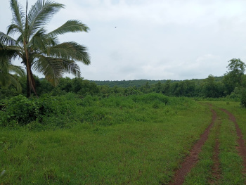 500 acres of land adjacent to a dam is available in Dapoli taluka.