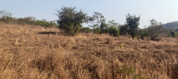 Agricultural land available vaibhavwadi taluka