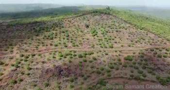 Property for sale in Devgad, Sindhudurg