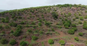 Property for sale in Devgad, Sindhudurg