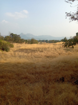 Agricultural/Farm Land for Sale in Mandangad, Ratnagiri (100 Acre)