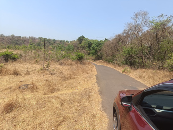Agriculture land available mandangad taluka gothe village