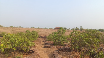 Agriculture land available in devgad taluka