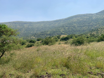 Agricultural land available mandangad taluka