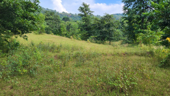 Agricultural/Farm Land for Sale in Mahad, Raigad (100 Acre)