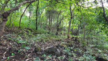 Property for sale in Mahad, Raigad