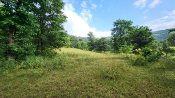 Property for sale in Mahad, Raigad