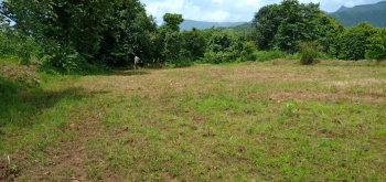 200 Acre Agricultural/Farm Land for Sale in Mangaon, Raigad