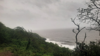 Agricultural land available Rajapur Taluka Ratnagiri District