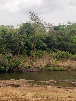 Agricultural land available Raigad district Shrivardhan taluka Nr Dighi Port