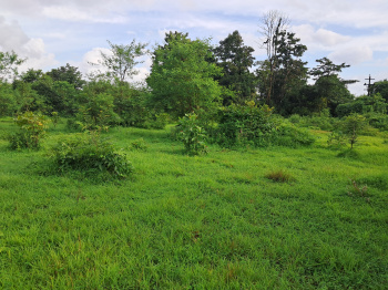 Property for sale in Kankavli, Sindhudurg