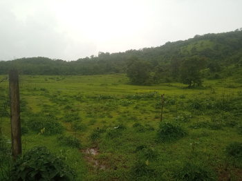 Agricultural/Farm Land for Sale in Kankavli, Sindhudurg (2 Acre)