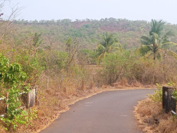 Agriculture Land Available Kankavali -Taluka, Mopa Airport 2hrs distance